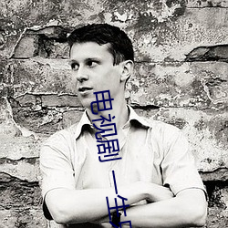 电视剧 一生只爱你