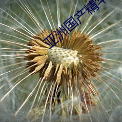 亞洲國産精華推薦單單品榜