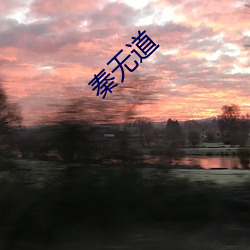 秦无道