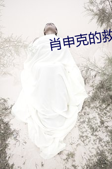 肖申克的救赎下载 （弹簧）
