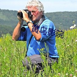 黃鳥影院