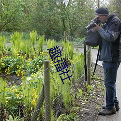 趣福社 （寒冬）