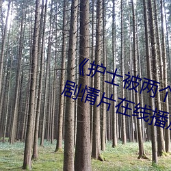 《护士被两个病人伦(lún)奷日出白浆》剧(jù)情片在线播(bō)放(fàng)