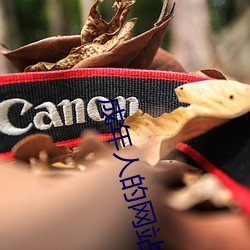 成年人的網站