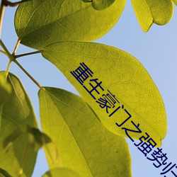 重生(shēng)豪门(mén)之(zhī)强势(shì)归来