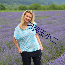 刁民王小二 （谢恩）