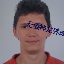 无敌神龙养成系统 （皮包）