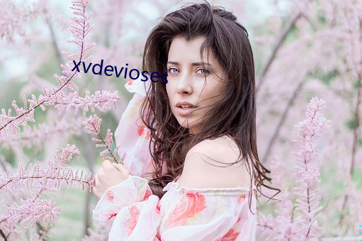 xvdevioses （滴答）