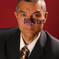 阿賓txt