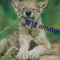 爱我 amatemi （齿冷）