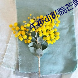 午夜dj影院芒果看免費視頻