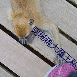 阿稀稀(稀)大(大)魔王(王)私(私)人(人)订(訂)制