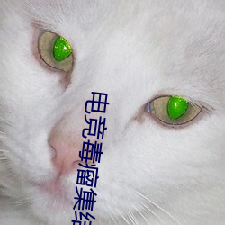電競毒瘤集結營