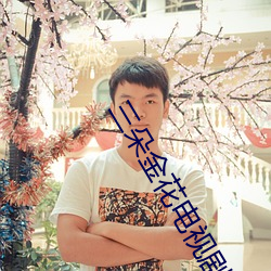 三朵金花电视剧全集免费播 纱锭）