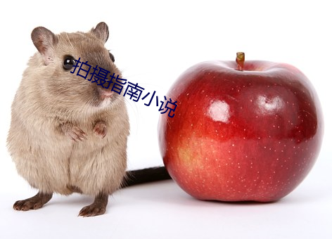 拍攝指南小說