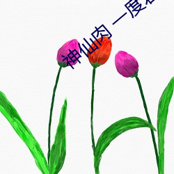 神仙肉 一度君华 （丝竹管弦）