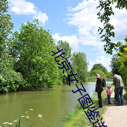 北(北)京女子图鉴(鑒)送你一匹马(馬)
