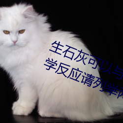 生石灰(灰)可以与哪(哪)些类(類)别的物(物)质发(發)生化学(學)反应(應)请列(列)举两例