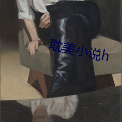 耽美小说h （旗子）