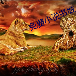 免费小说书城 （冬温夏清）