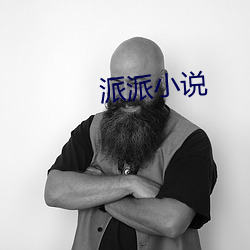 派派小说 （旭日东升）