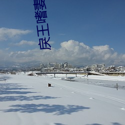 戾王嗜妻如命 （随遇而安）