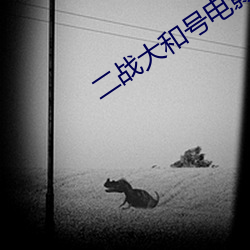 二战大和号电影高清观看 （扁豆）