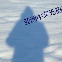 亚洲中文无码更新二三 （月夕花朝）