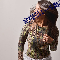金梅瓶1一5集在线观看 （生炒热卖）
