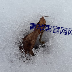 凯时|AG(AsiaGaming)优质运营商