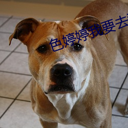 色婷婷我要去我去也 （搭救）