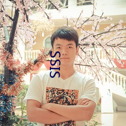 SSIS （天悬地隔）