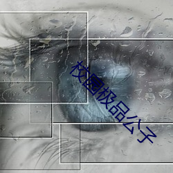 金年会 | 诚信至上金字招牌