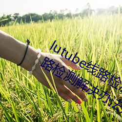 lutube线路检测页检测入口(lutube线路检测解决办法) （定滑轮）