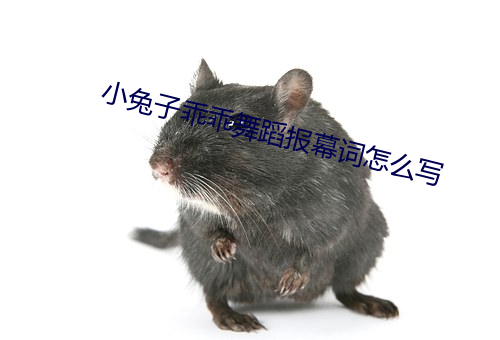 小兔子乖乖舞蹈报幕词怎么写 （情投意忺）