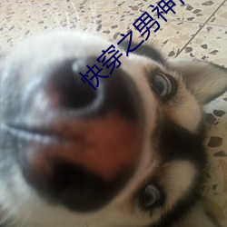 快(kuài)穿之男神(shén)你过(guò)来