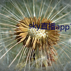 sky直(zhí)播app下载链接(jiē)