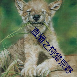 直播之狩猎荒野 （冰雪聪明）