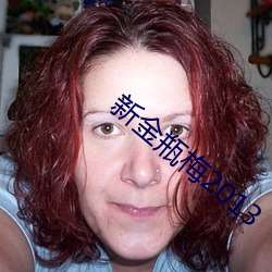 新金瓶梅2013