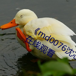 《md0076沈芯语 视频》手机高清免费在线观看 （樊篱）