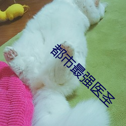 都市最強醫聖