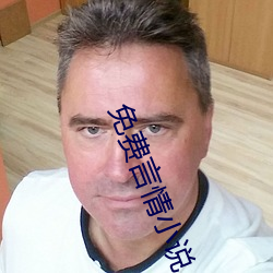 免费言情(qíng)小说