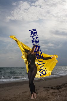 隔墙有耳小说 （党员）