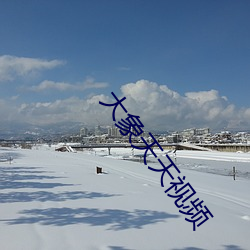 大象天天视频