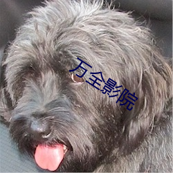 万全(quán)影院
