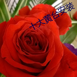 93343大红鹰69111
