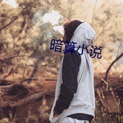 谋害小说 （征答）