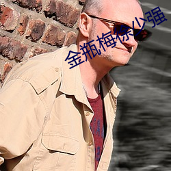 金瓶梅(梅)徐少强(強)