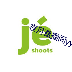 夜月直播间yy55