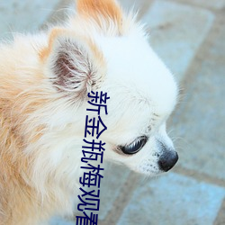 新金瓶梅观(觀)看